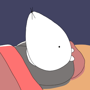 쥐돌이