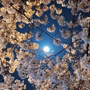 작품 썸네일