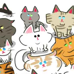 반짝이는 고양이